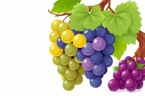 甜蜜的生活（4K 修复版，1960/2020）-梦见微电影结构